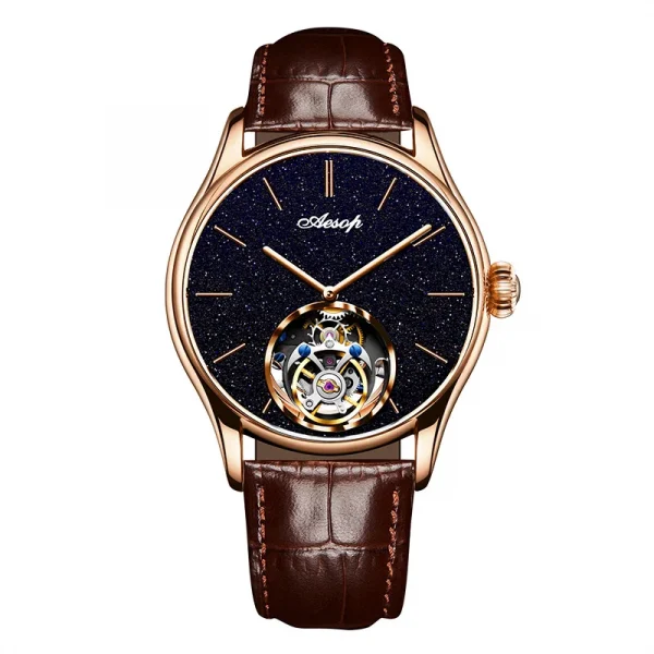 AESOP Brand Tourbillon Luxury Mens Watches Waterproof Male Sports Watch For Men Mechanical Casual WristWatches 2025New - Image 2
